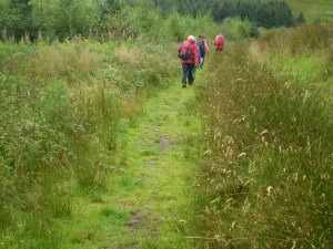 Cheltenham Rambling Club on Brynore Tramway Black Mountains. Cheltenham Rambling Club on Brynore Tramway Black Mountains.