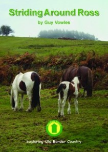 Striding Around Ross by Guy Vowles